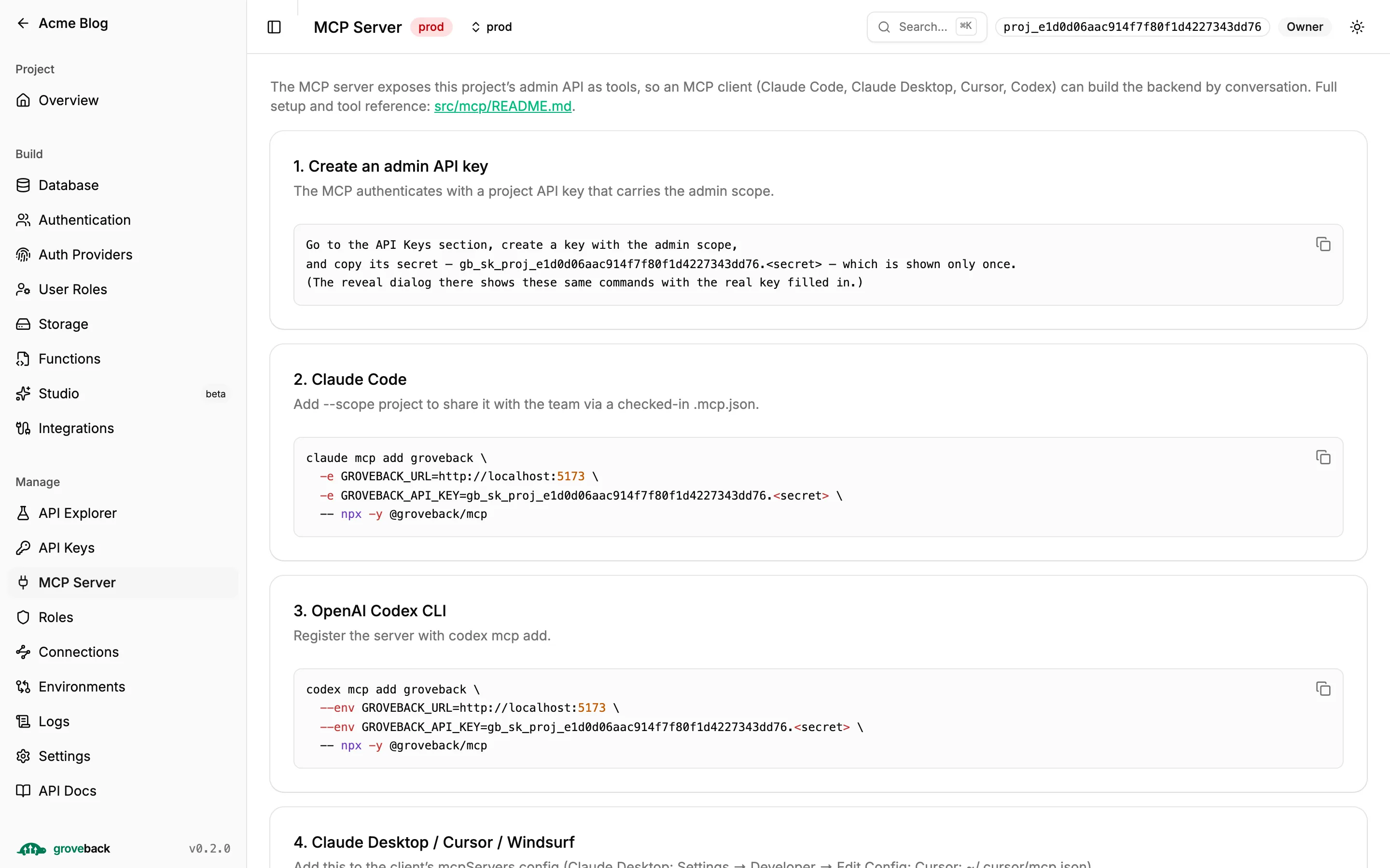 The MCP Server section with client wiring instructions
